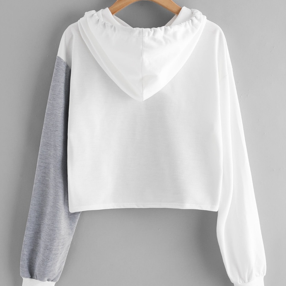 Geometric Cut And Sew Panel Crop Hoodie - Picture 2 of 3